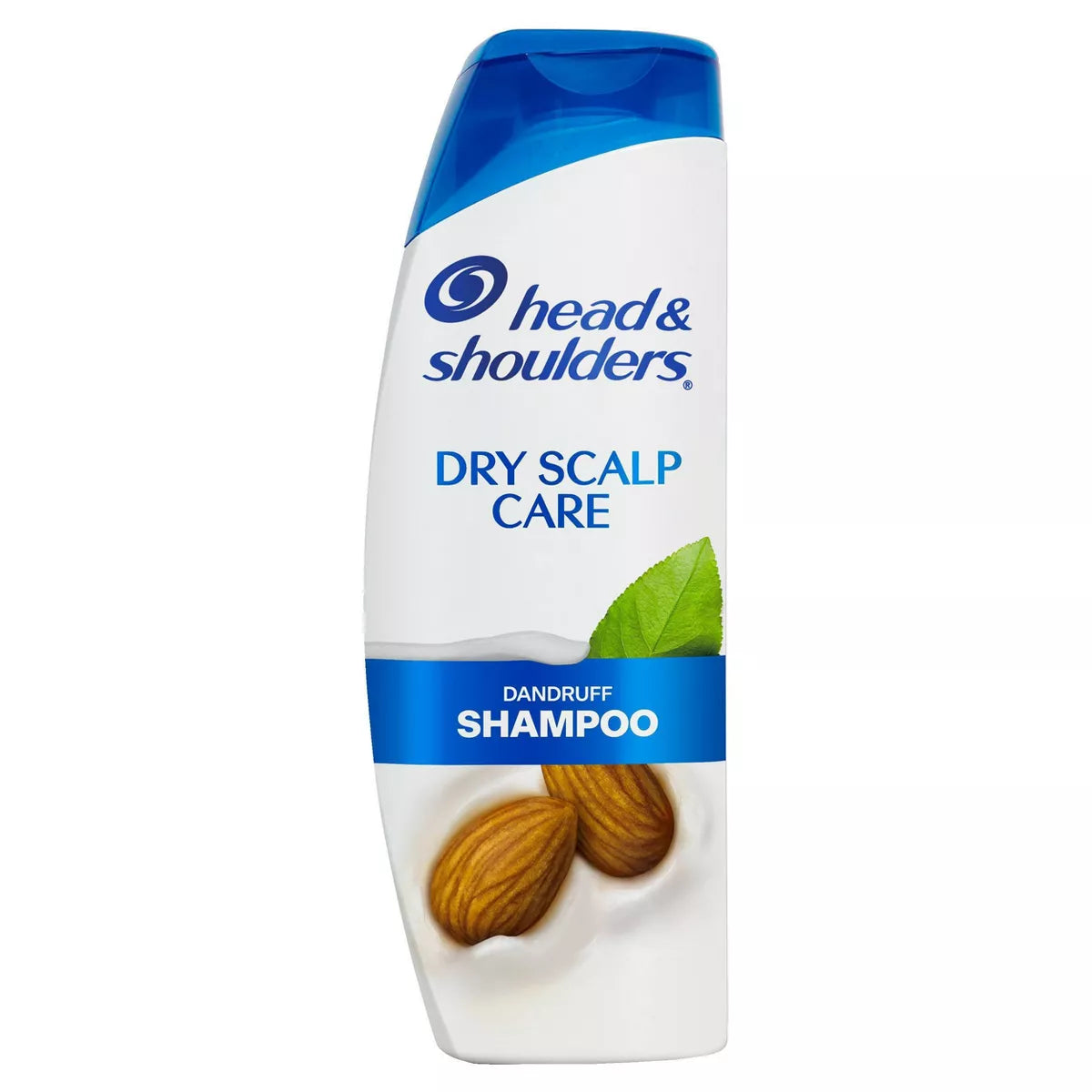 Head & shoulders dry scalp daily shampoo