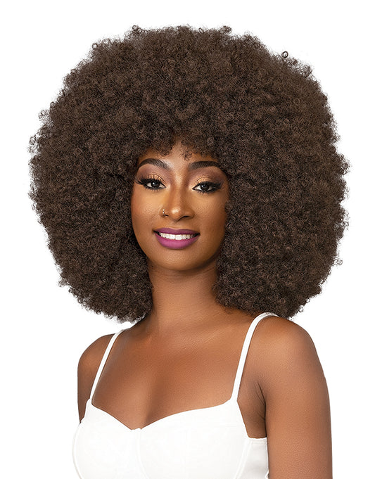 Janet collection natural afro Badu wig