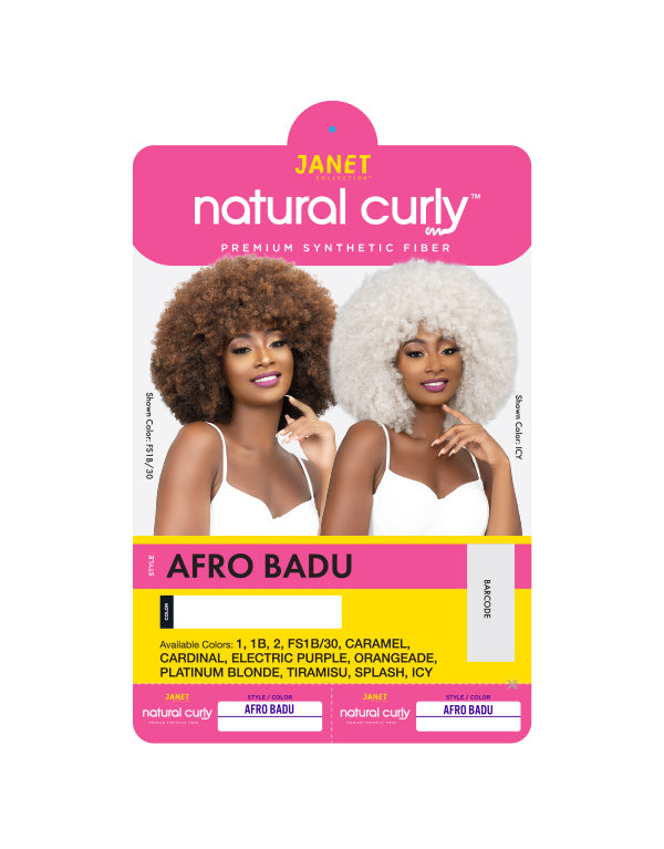 Janet collection natural afro Badu wig